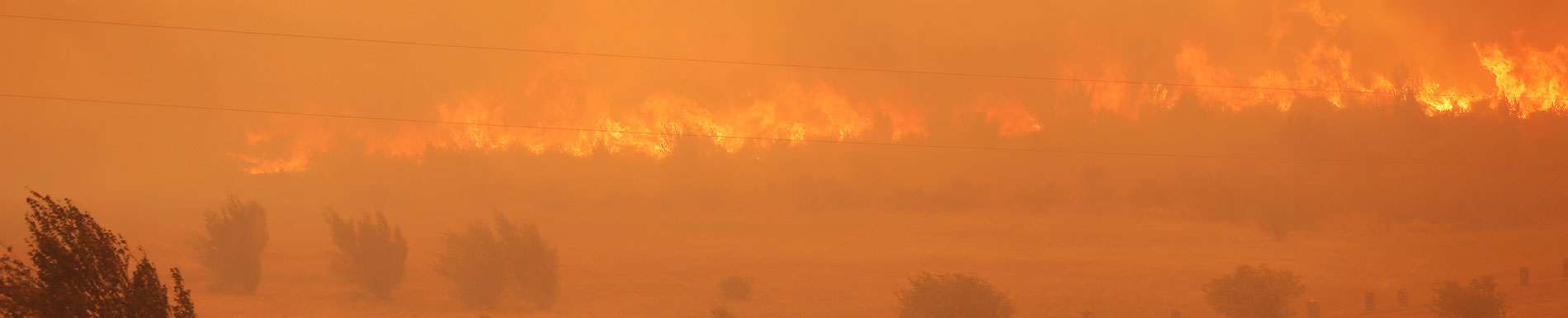 https://kiddievaultboxes.store/SiteCollectionImage-Homepage-Banners/wildfires-banner.jpg