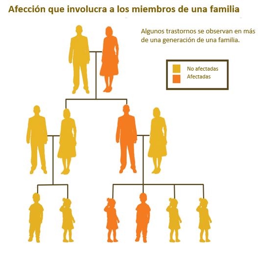 https://kiddievaultboxes.store/SiteCollectionImagesArticleImages/Mental%20Health%20in%20the%20Family_ES.JPG