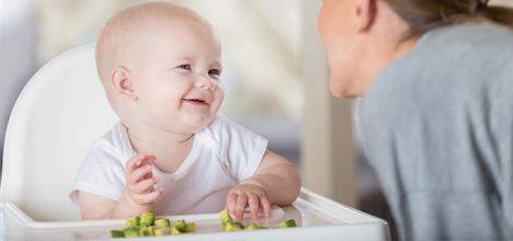 Sample Menu for a One-Year-Old
