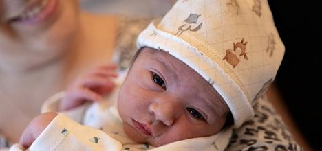 newborn baby