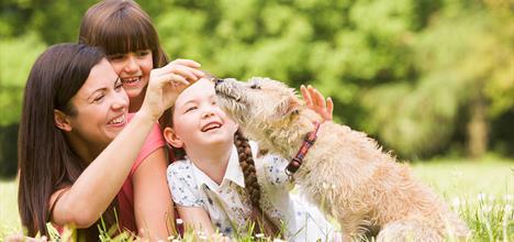 Asthma Triggers and What to do About Them