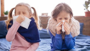Rhinovirus Infections