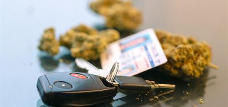 Legalizing Marijuana Not Good for Kids