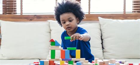 What to Look for in a Toy 