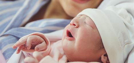 How Your Newborn Looks