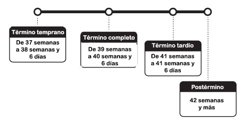 Cuadro con denominaciones de parto.