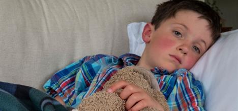 Fifth Disease (Parvovirus B19)