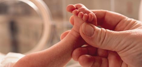Premature baby in incubator